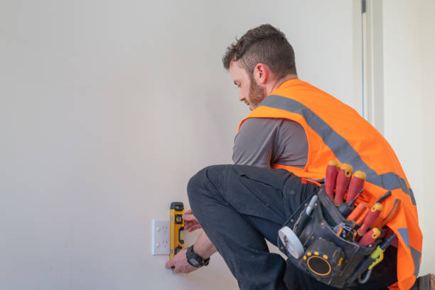 Best Ceiling Fan Installation Electrician  in Lac Du Flambeau, WI